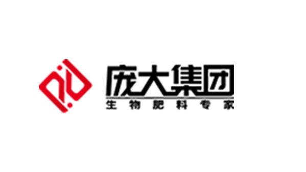 庞大集团